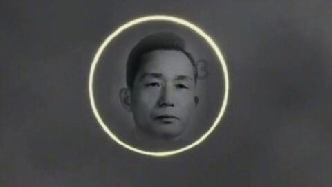 行尸走肉
